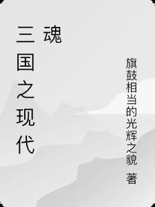 三国之现代魂